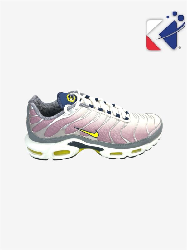 Basket air max plus violet/gris/Blanc pointure 40,5
