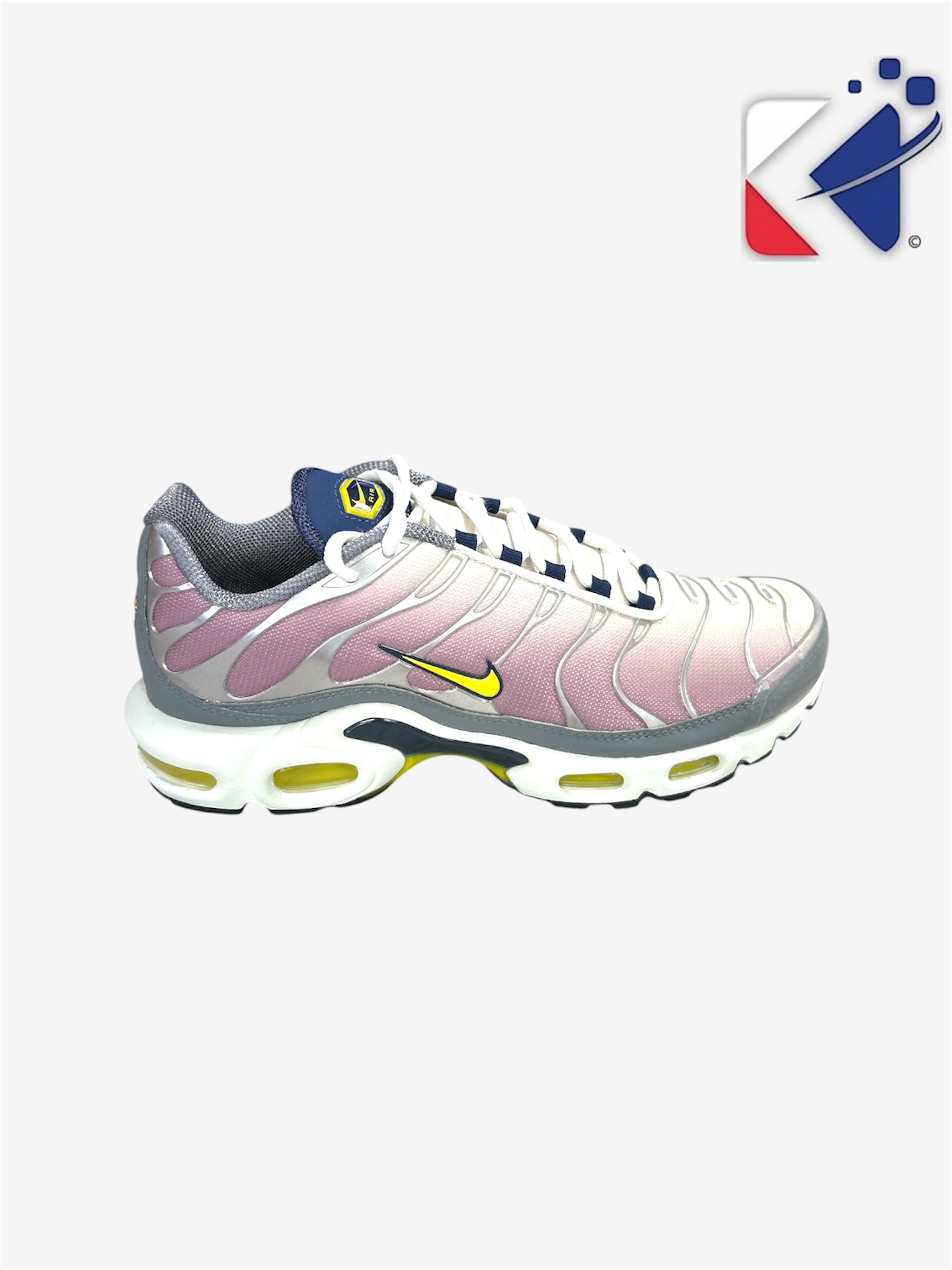 Basket air max plus violet/gris/Blanc pointure 40,5